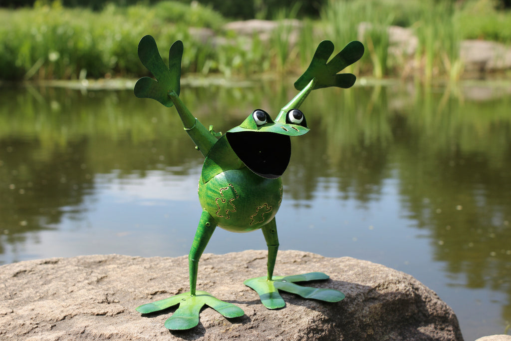Jumper, Frog Sculpture