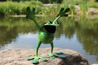 Jumper, Frog Sculpture