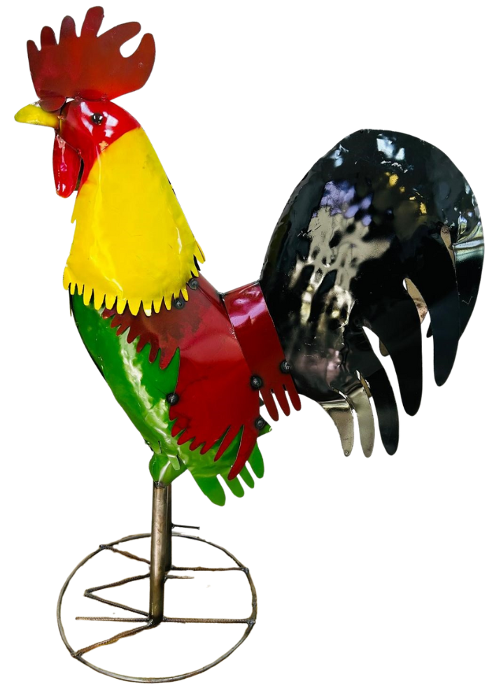 39" Giro Rooster