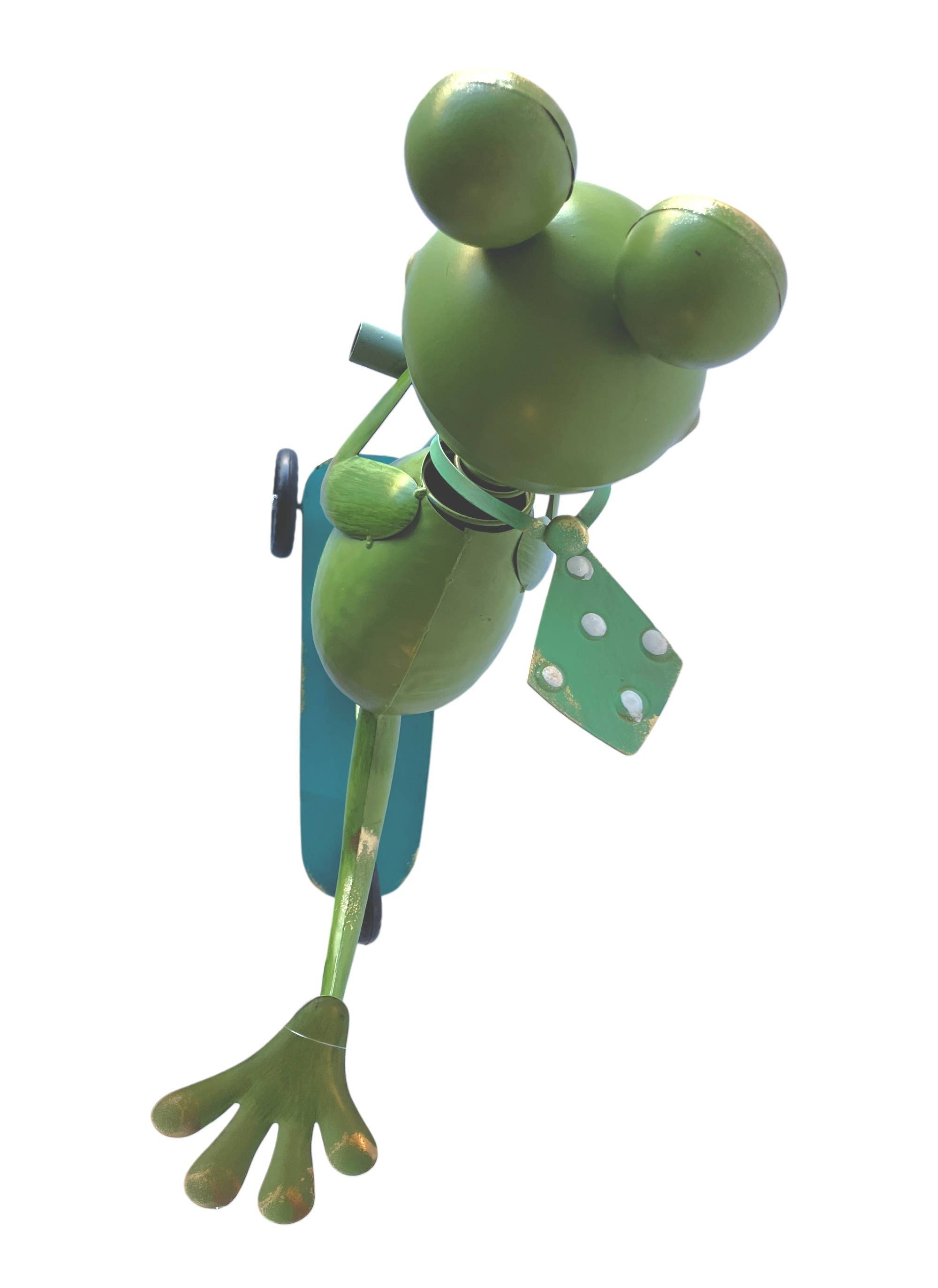 Frog Riding a Scooter Mtl Art