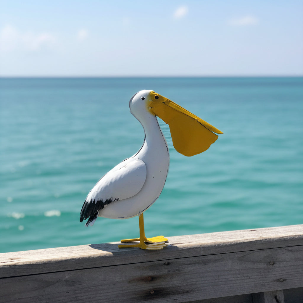 Small Pelican