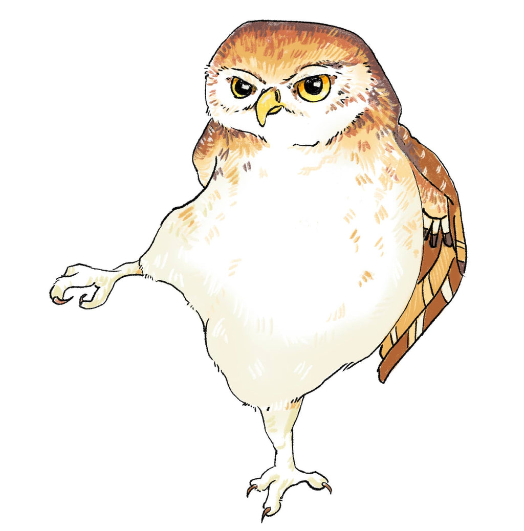 Owl Tea Towel