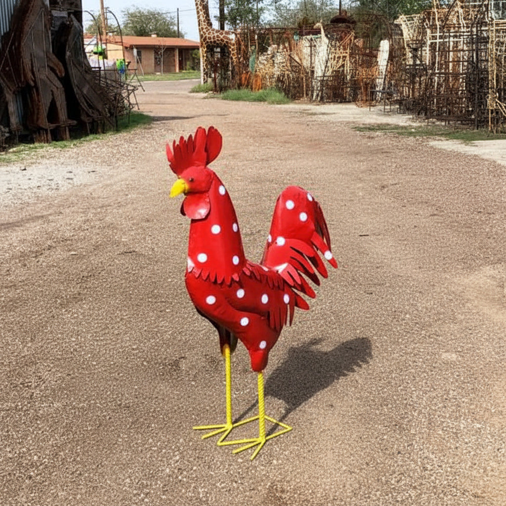 12" - Polka Dot Rooster - Asstd. Colors