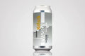 GF Evasion Brewing Kolsch