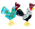 Short Tail Rooster