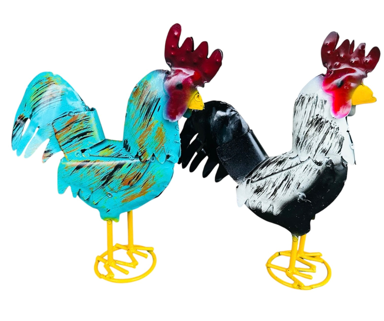 Short Tail Rooster